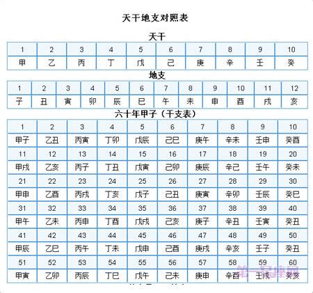 天干地支生肖|天干地支与生肖对照表 – 八字基础知识